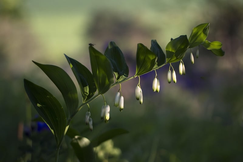 Fragrant Hideaways