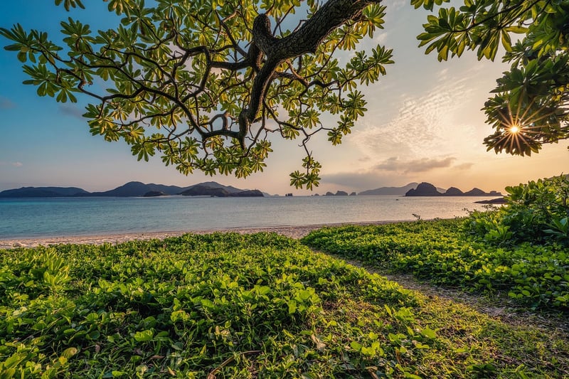 Nature's Symphony